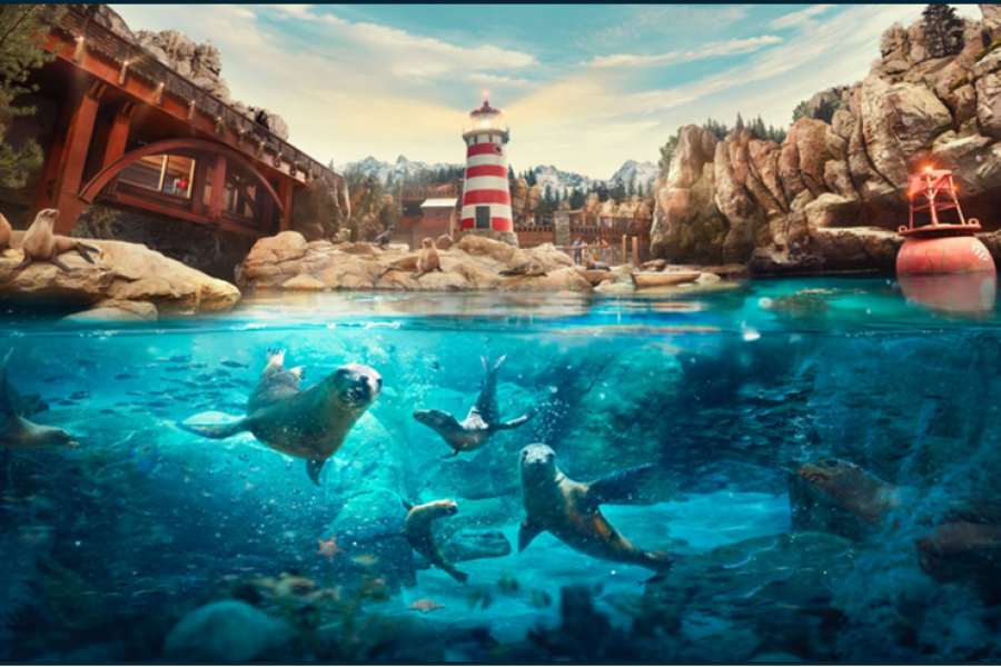 Lost Chambers Aquarium