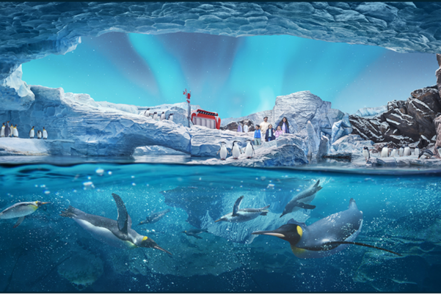 Dubai Aquarium & underwater zoo