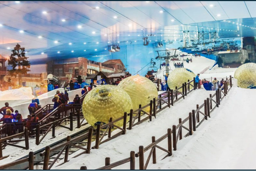 Ski Dubai Snow Plus