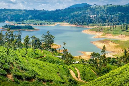 The Ultimate Guide to Exploring Sri Lanka