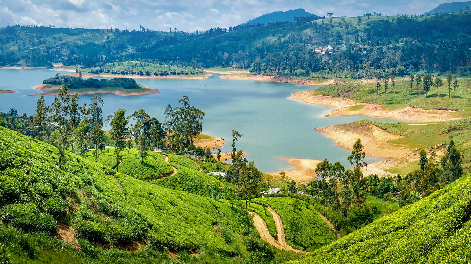 The Ultimate Guide to Exploring Sri Lanka